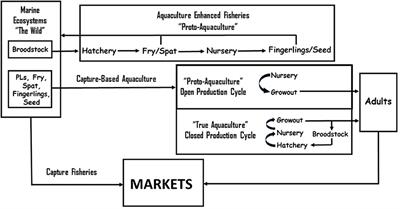 Editorial: Ocean/aquatic food systems: Interactions with ecosystems, fisheries, aquaculture, and people
